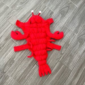 Red Lobster Dog Costume